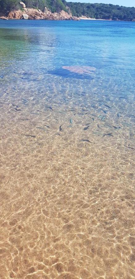 Appartamento Bluewater La Maddalena  Luaran gambar