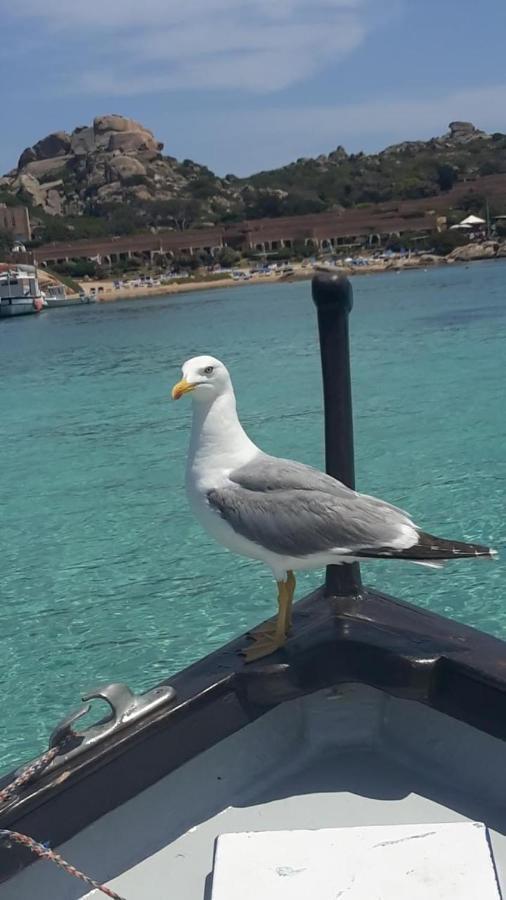 Appartamento Bluewater La Maddalena  Luaran gambar